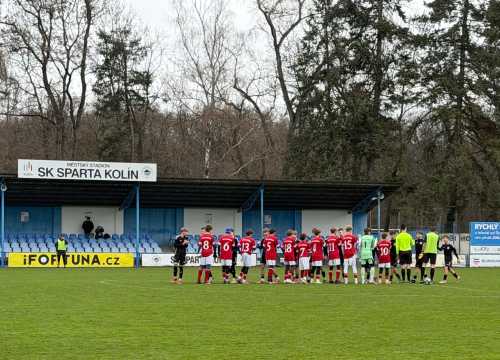 Náhledový obrázek